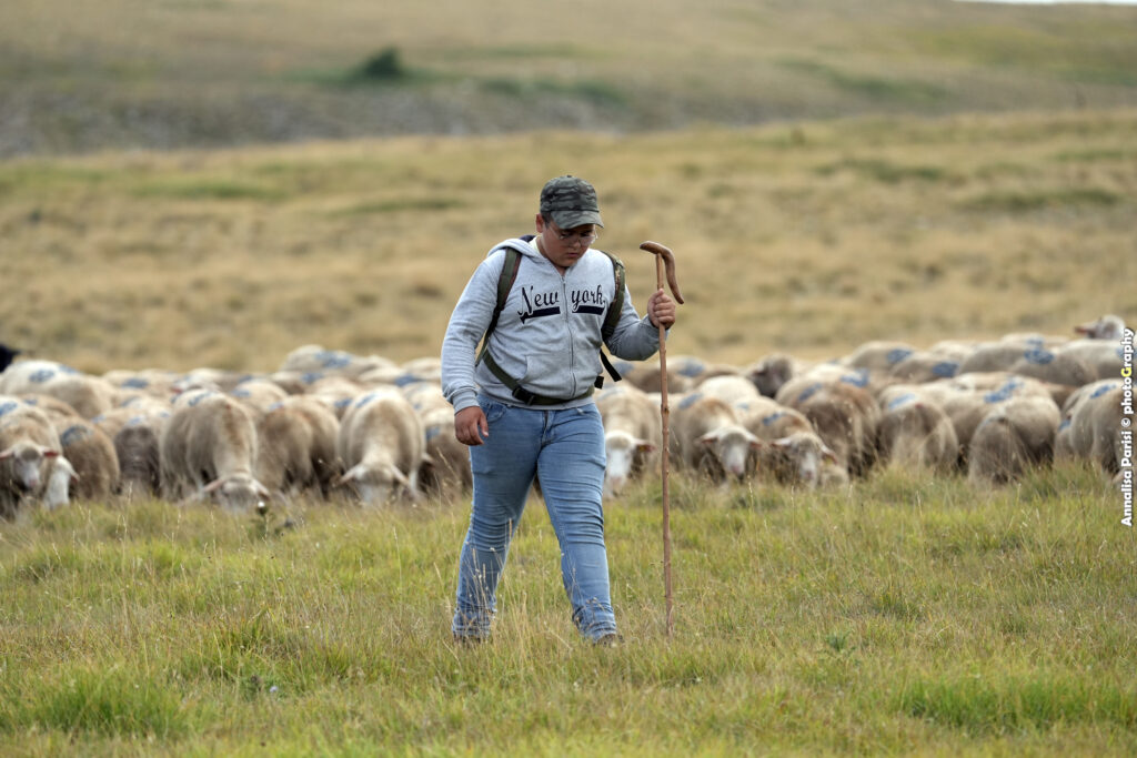 I pastori, con il loro legame indissolubile alla terra e agli animali, sono i veri guardiani di un patrimonio culturale millenario