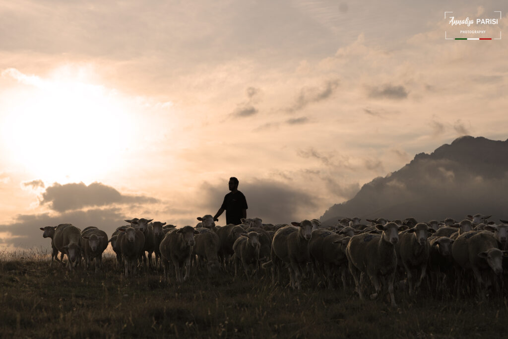  I pastori, con il loro legame indissolubile alla terra e agli animali, sono i veri guardiani di un patrimonio culturale millenario