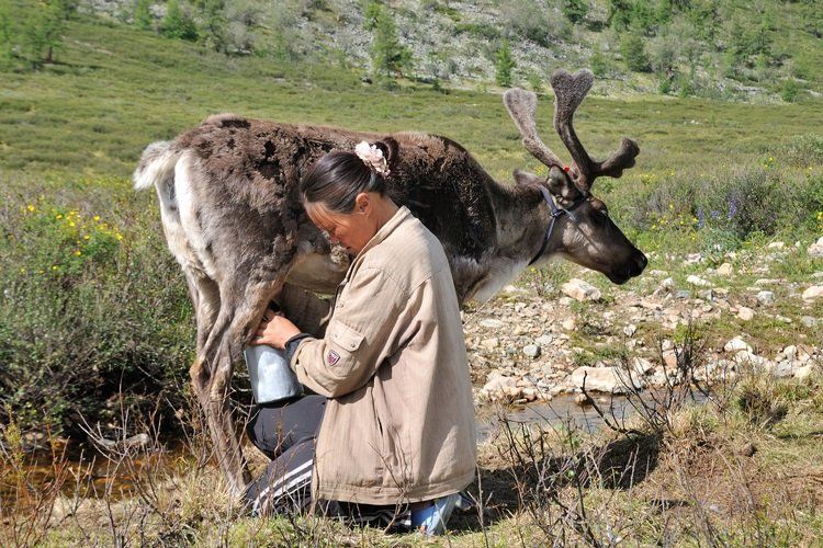 Manifesto per la Diversità Bioculturale